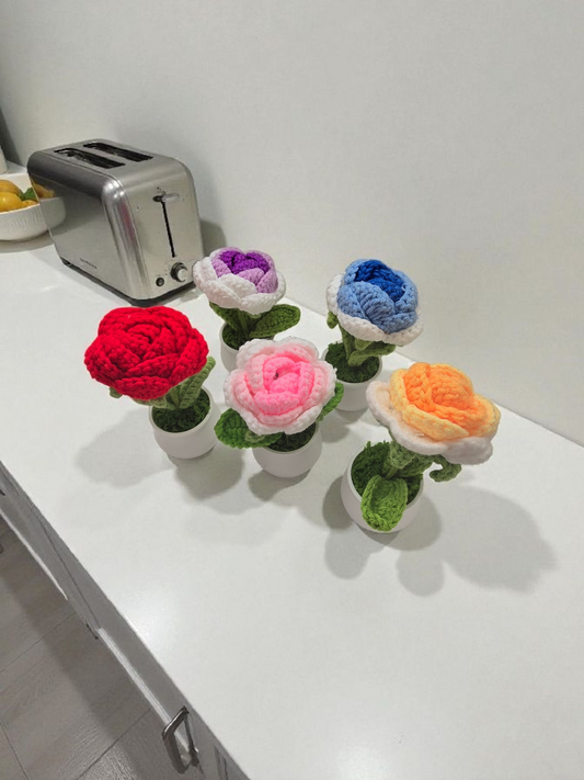 Hand made crochet flowers pots rose
